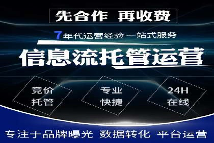 深入了解SEM代运营服务公司的技术实力